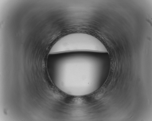 X0000099440704200805090748
