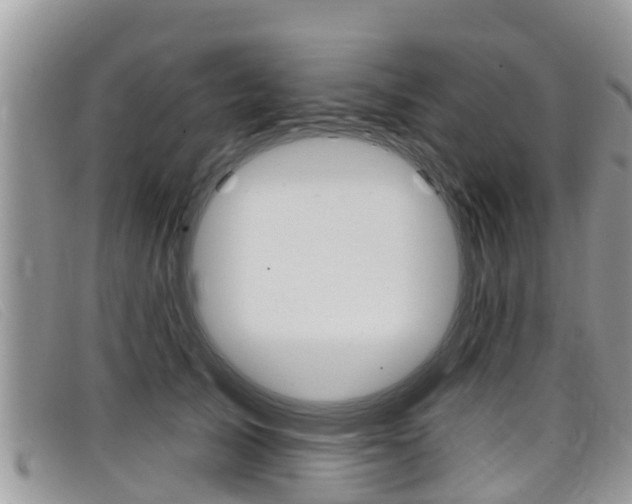 X0000099440705200805090748