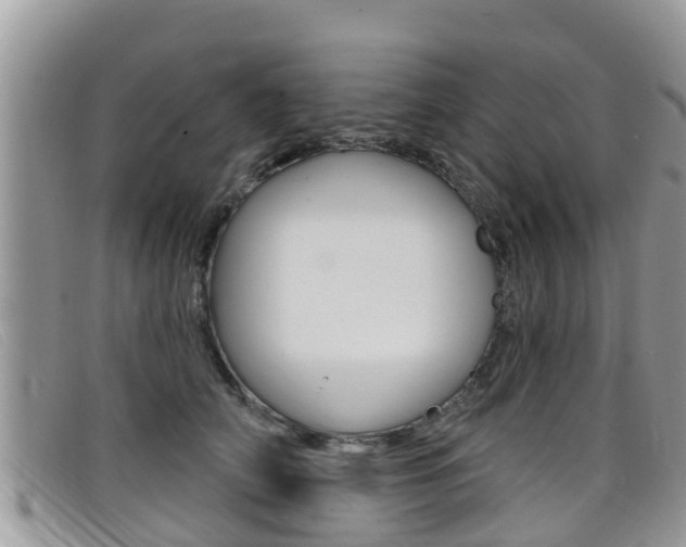 X0000099440706200805090748