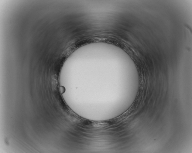 X0000099440707200805090748