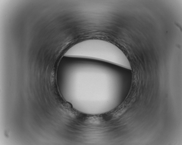 X0000099440708200805090748