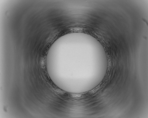 X0000099440709200805090748