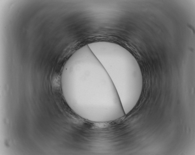 X0000099440713200805090748