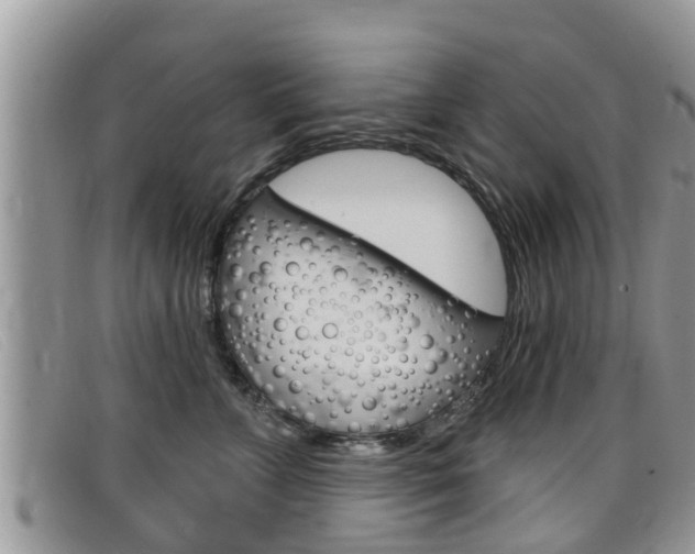 X0000099440715200805090748