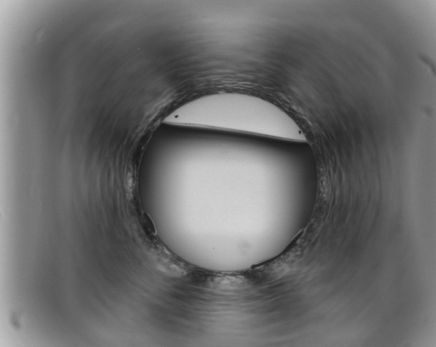 X0000099440716200805090748