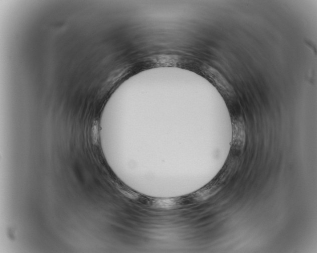 X0000099440717200805090748