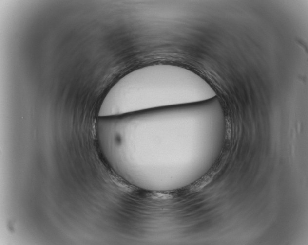 X0000099440718200805090748