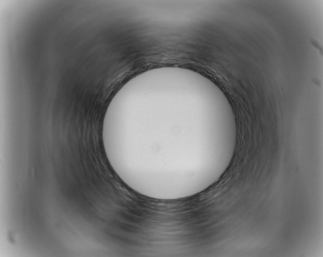 X0000099440720200805090748