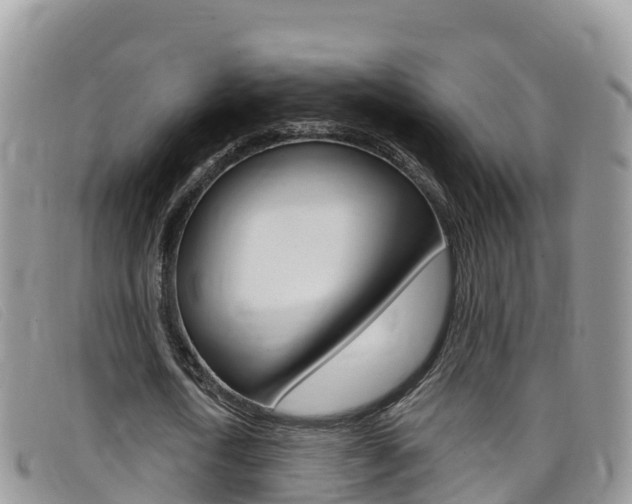 X0000099440722200805090747