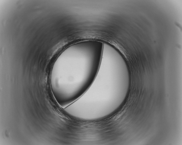 X0000099440723200805090747
