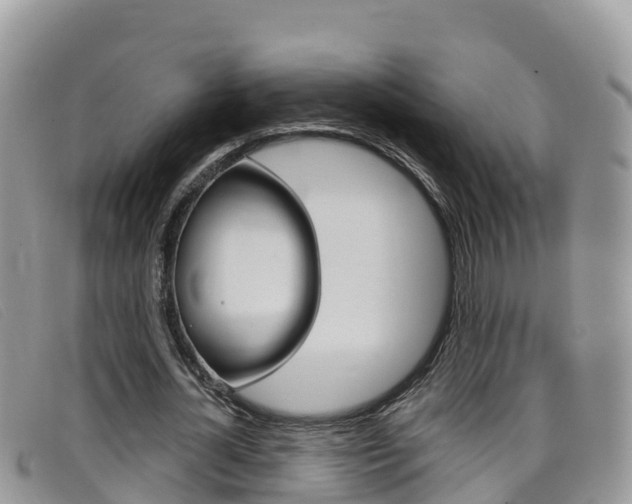 X0000099440724200805090747