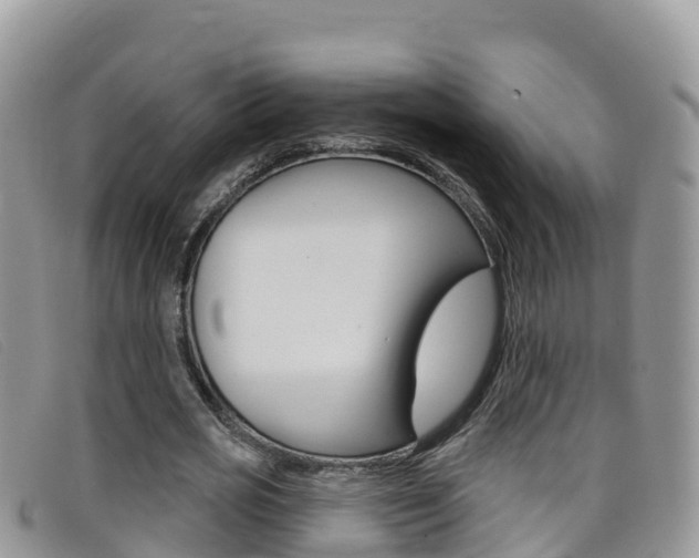 X0000099440725200805090747