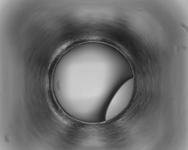 X0000099440726200805090747