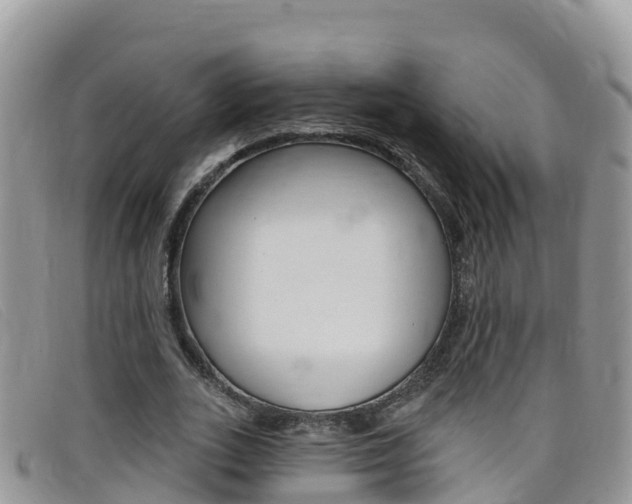X0000099440727200805090747
