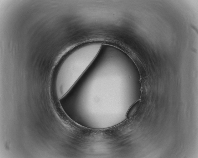 X0000099440728200805090747