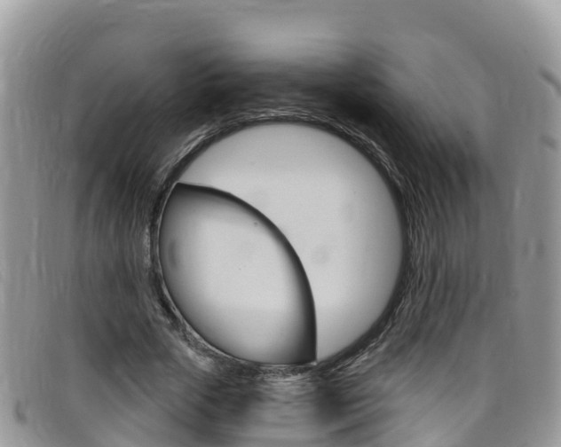 X0000099440729200805090747