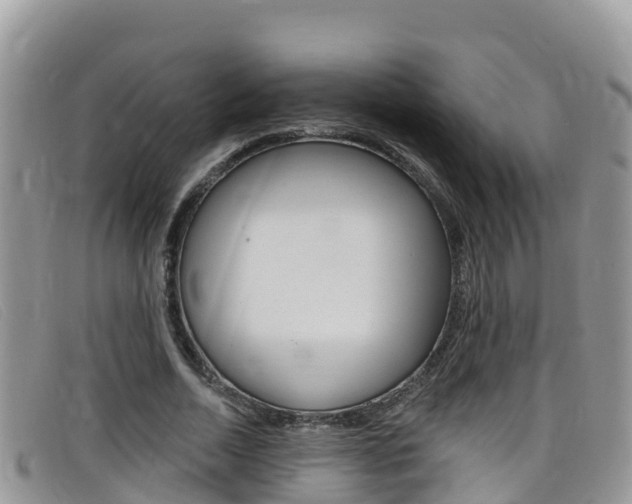 X0000099440730200805090747