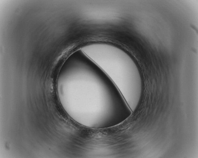 X0000099440731200805090747