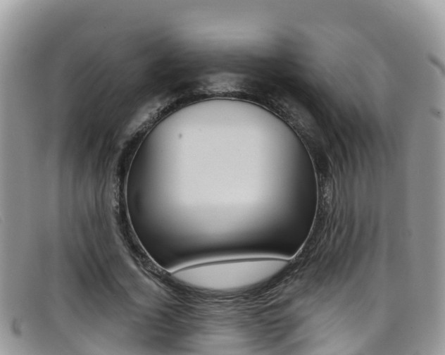 X0000099440732200805090747