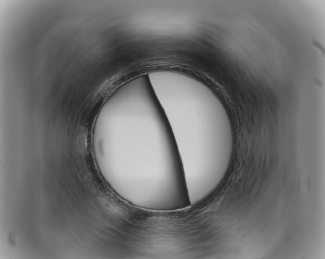 X0000099440733200805090747