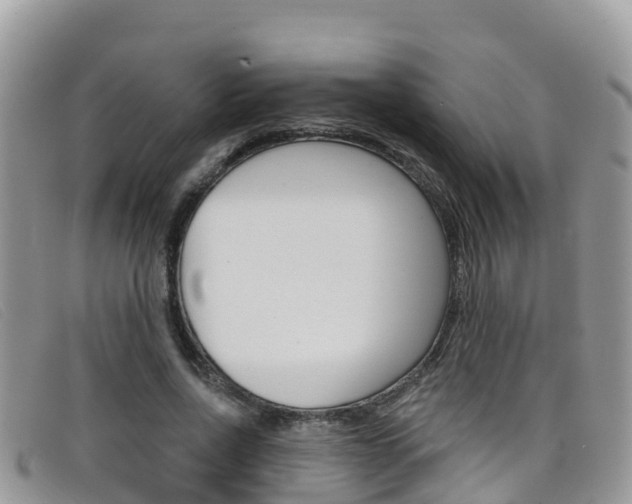 X0000099440734200805090747