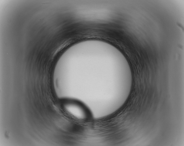 X0000099440735200805090747