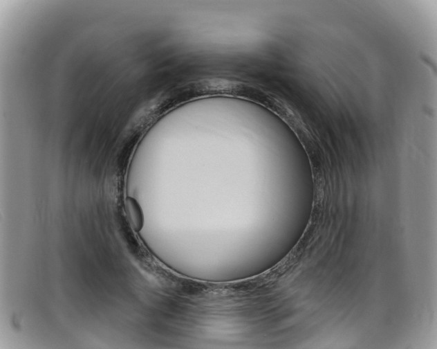 X0000099440736200805090747