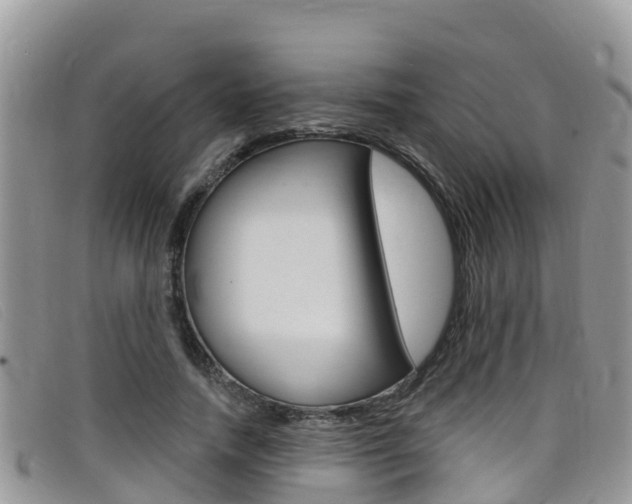 X0000099440738200805090747