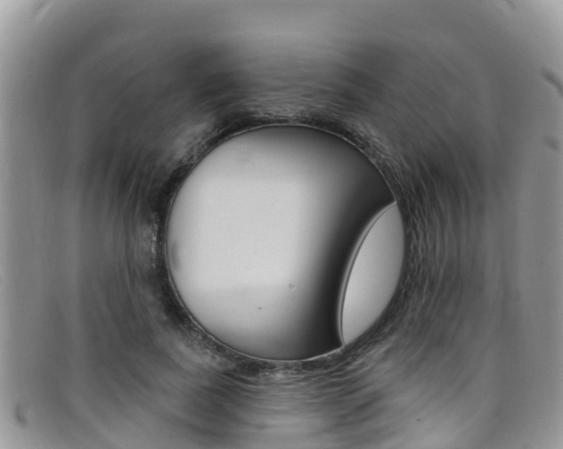 X0000099440739200805090747