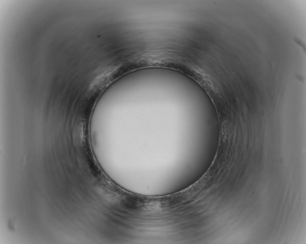X0000099440740200805090747