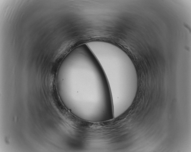 X0000099440742200805090747