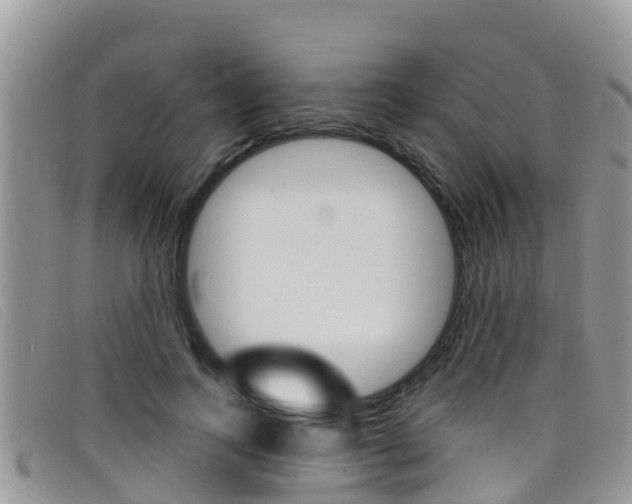 X0000099440743200805090747