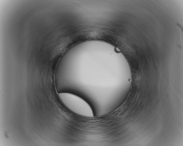 X0000099440746200805090747
