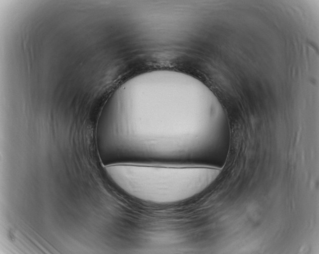 X0000099440747200805090747