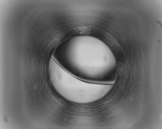 X0000099440748200805090747