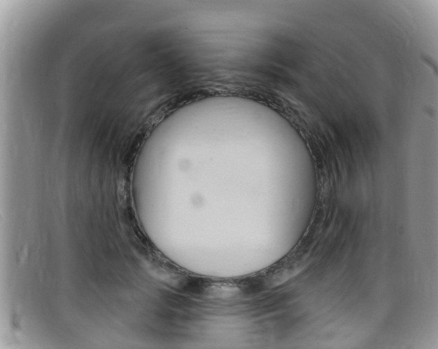 X0000099440749200805090747