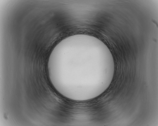 X0000099440750200805090747