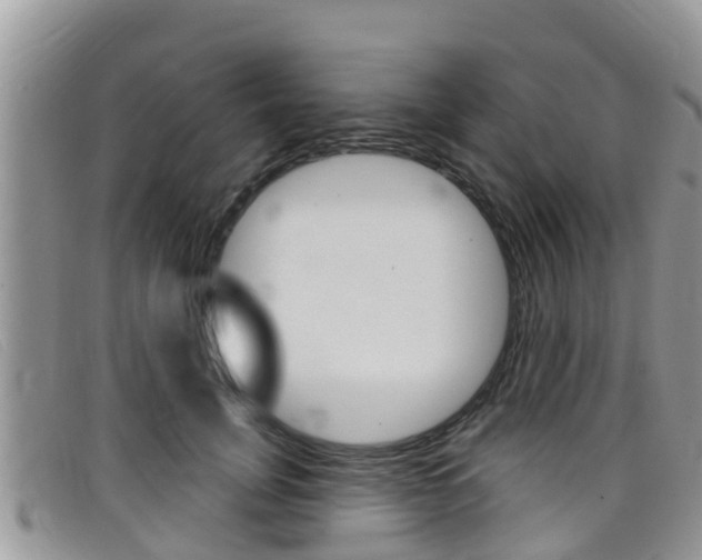 X0000099440751200805090747
