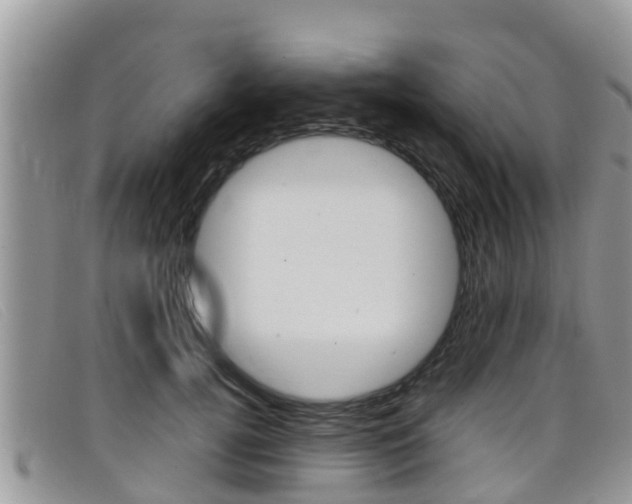 X0000099440752200805090747