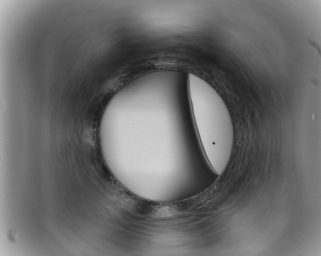 X0000099440755200805090747
