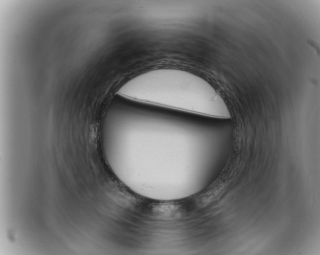 X0000099440759200805090747