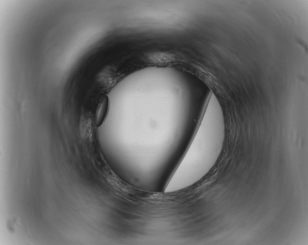 X0000099440762200805090748
