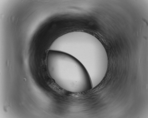 X0000099440763200805090748