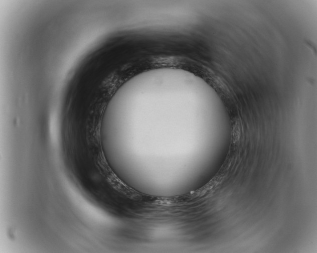 X0000099440764200805090748