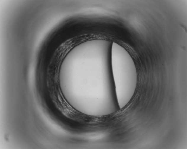 X0000099440765200805090748