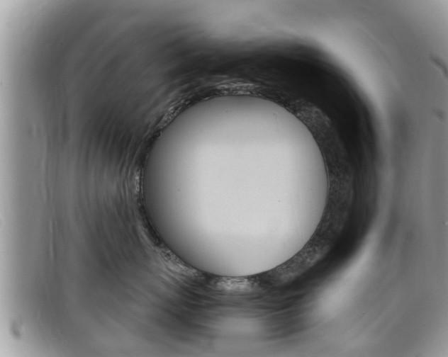 X0000099440767200805090748