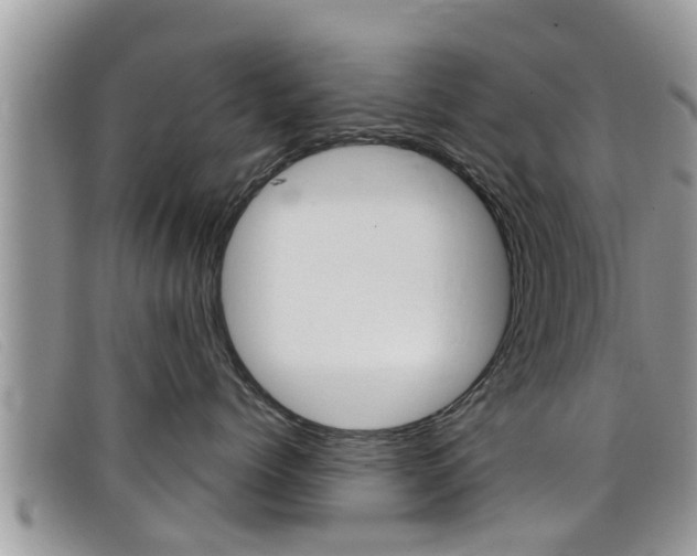 X0000099440768200805090748