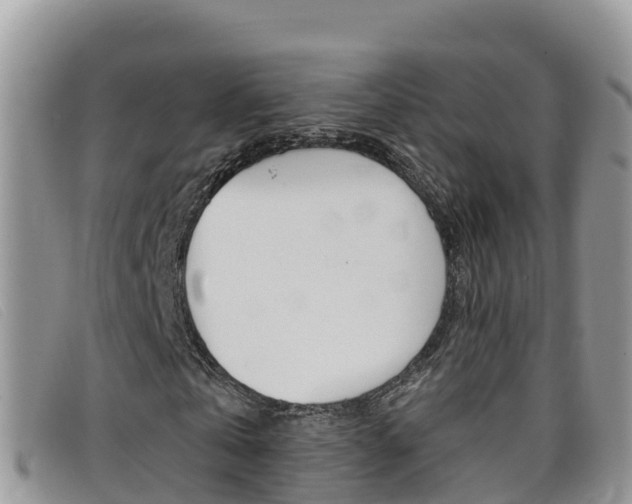 X0000099440769200805090747