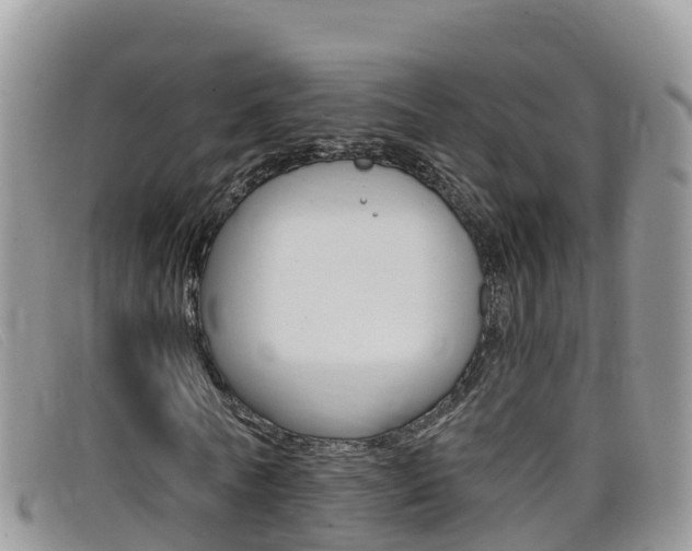 X0000099440770200805090747