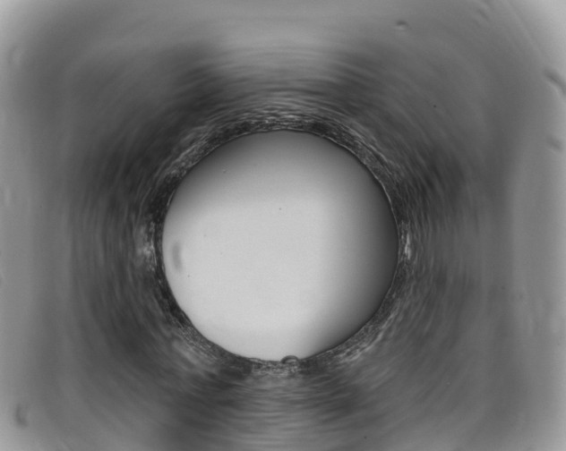 X0000099440771200805090747